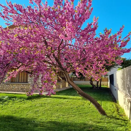 Un Ecrin Verdoyant Au Calme * Nîmes