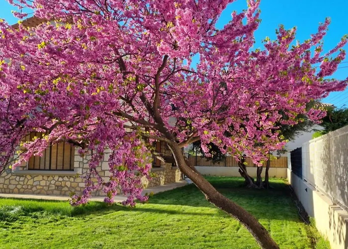 Un Ecrin Verdoyant Au Calme * Νιμ